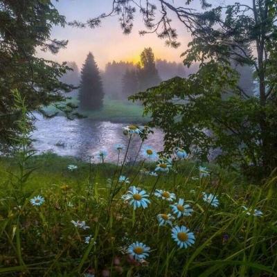 1788网投手机app下载